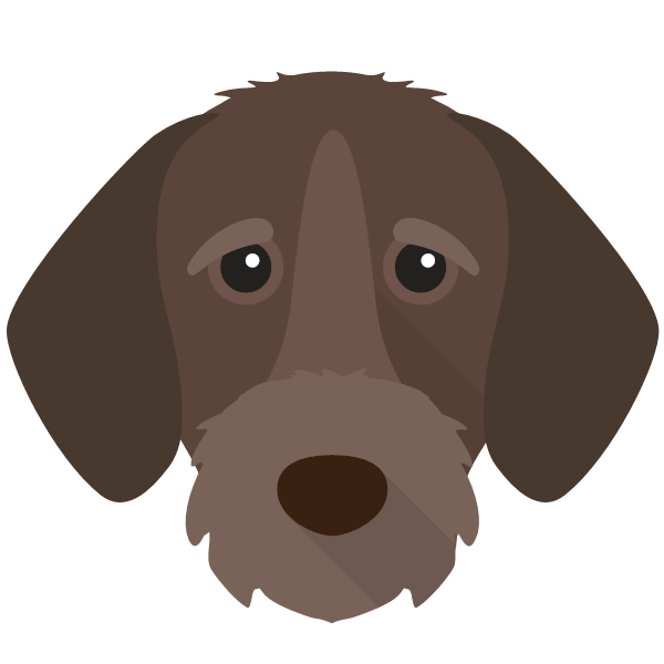 German Wirehaired Pointer icon