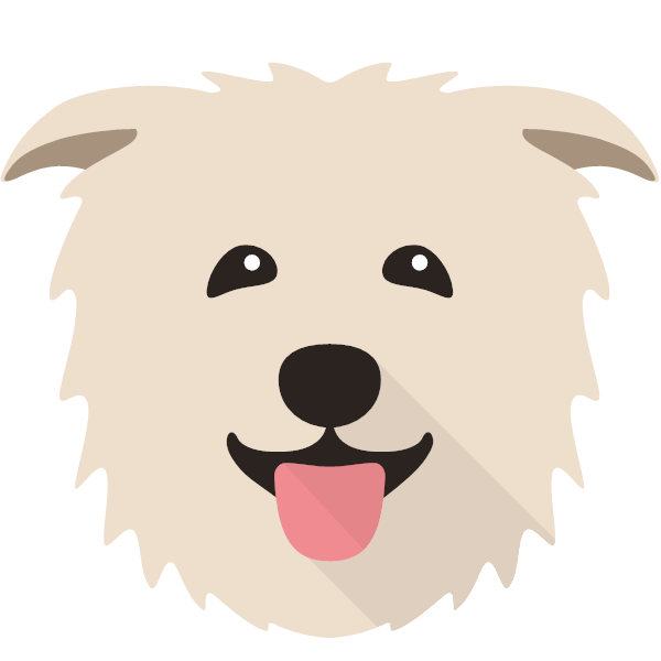 Icon for Glen Of Imaal Terrier