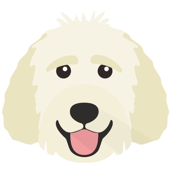 Goldendoodle Icon