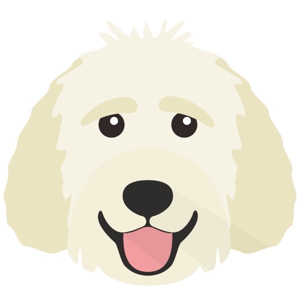 Goldendoodle icon