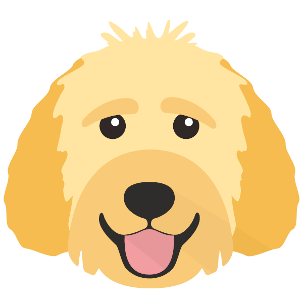Goldendoodle icon