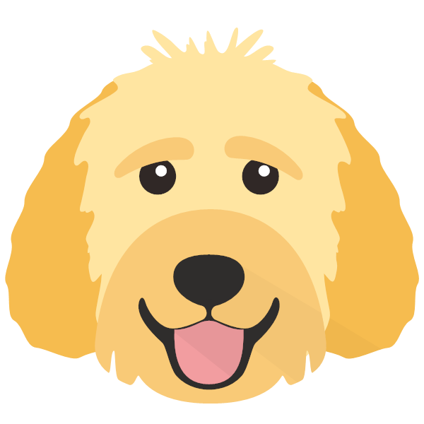 Simba icon