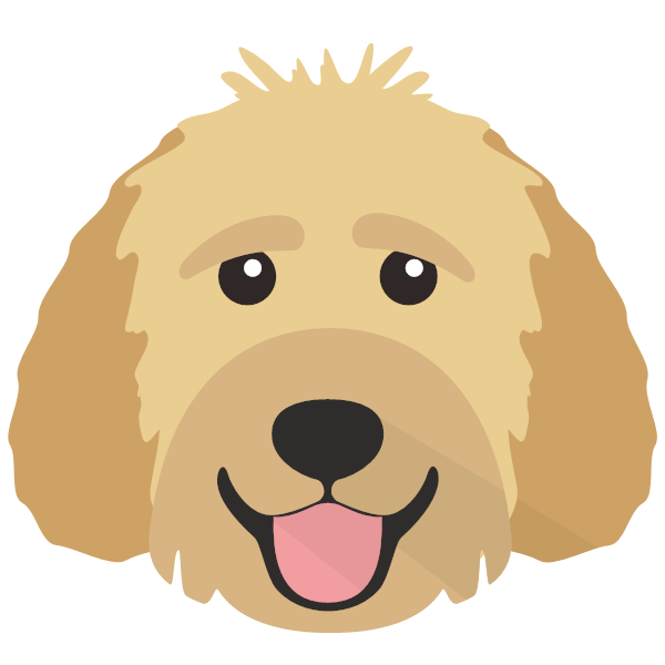 Mini goldendoodle cheap gifts