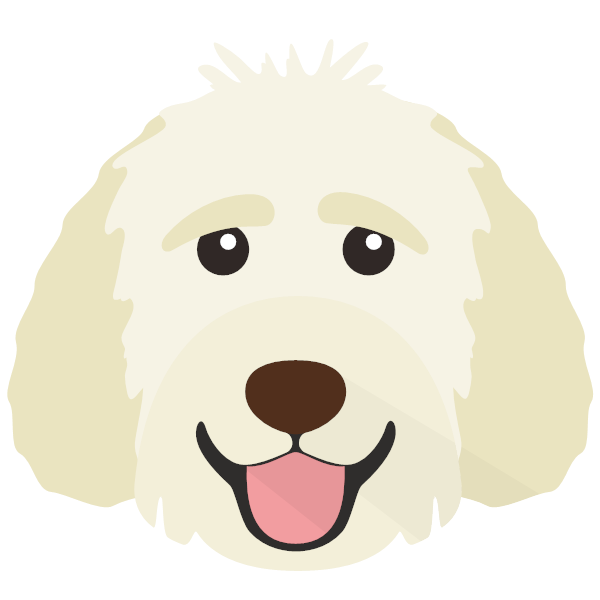 Goldendoodle gifts cheap