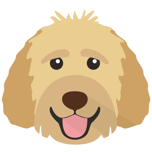 Simba icon