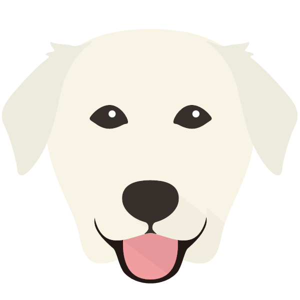 Golden Labrador icon