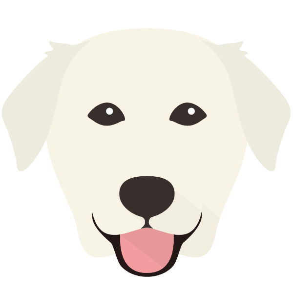 Golden Labrador Icon