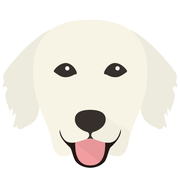 Arlo icon