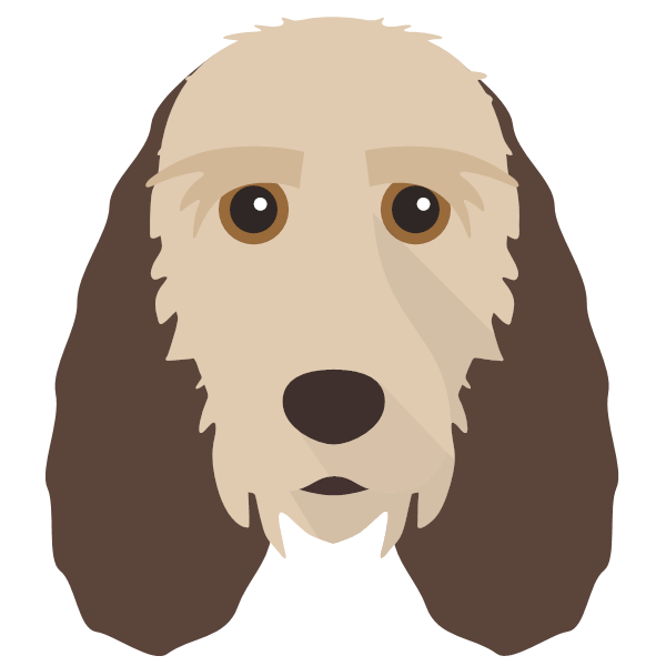 Grand Basset Griffon Vendeen icon