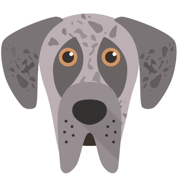 Great dane cheap accessories