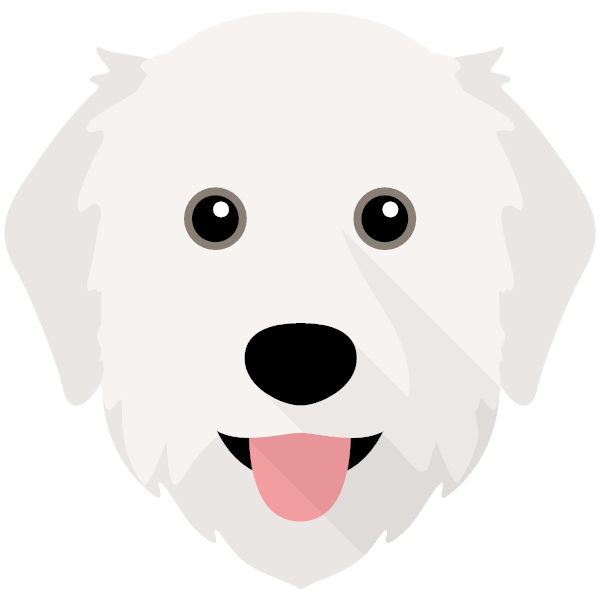 Bo icon