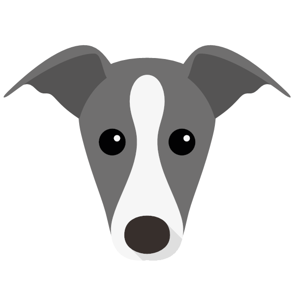 Greyhound icon