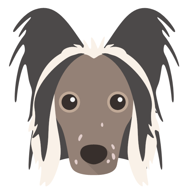 Hairless Chinese Crested Icon