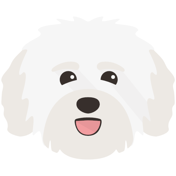 Havanese Icon