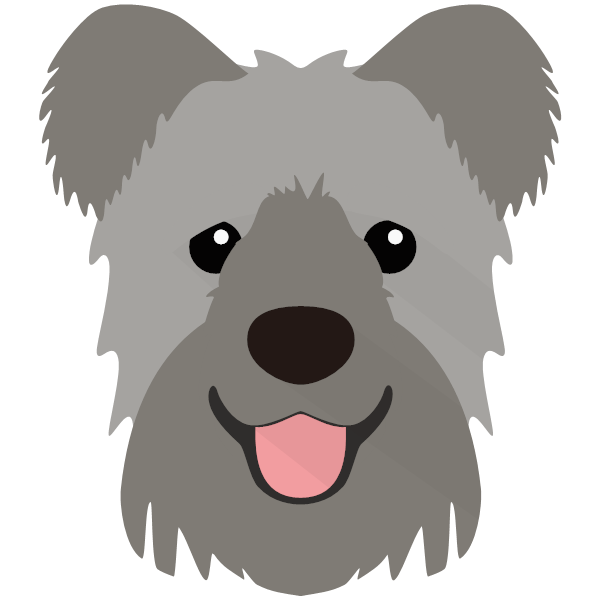 Hungarian Pumi Icon