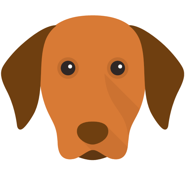 Hungarian Vizsla icon