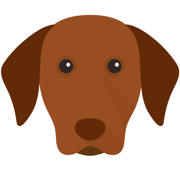 Hungarian Vizsla Icon