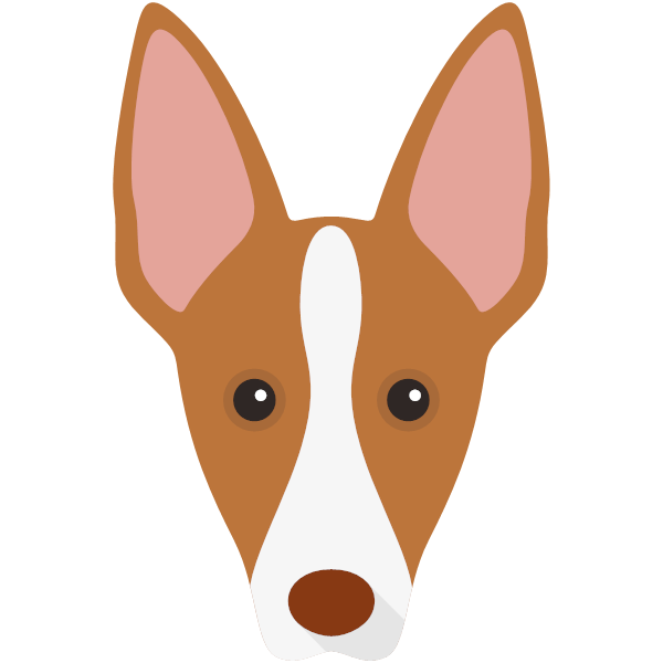 Ibizan Hound Icon