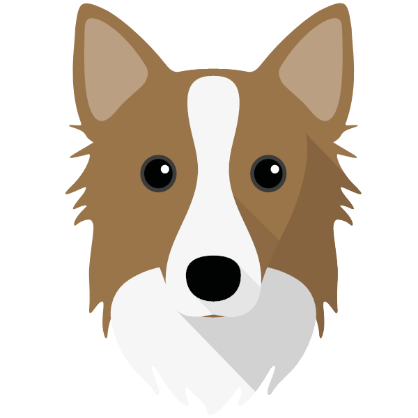 Icelandic Sheepdog Icon