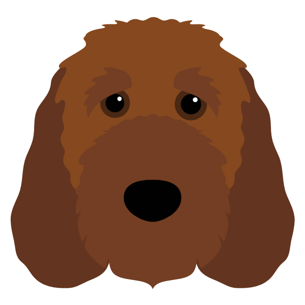 Irish Doodle Icon