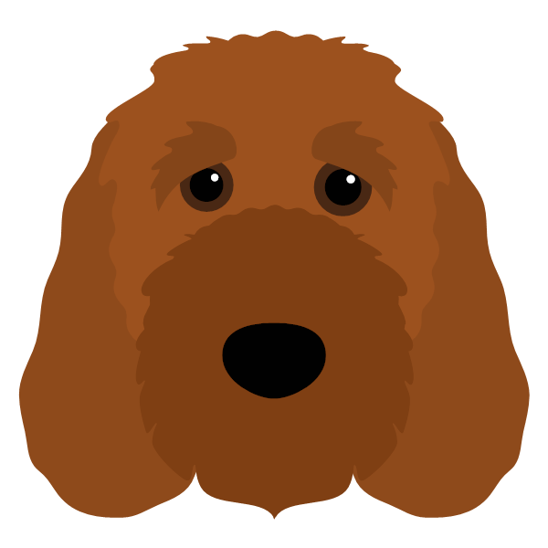 Nala icon