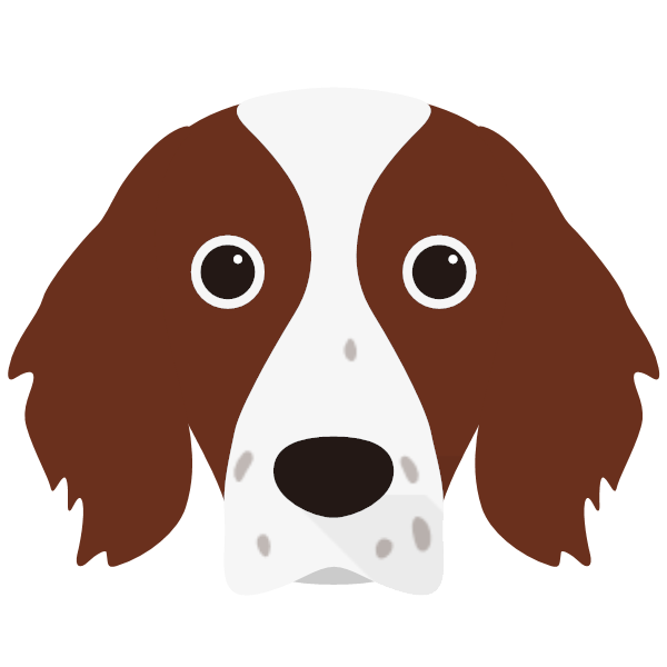 Irish Red & White Setter Icon