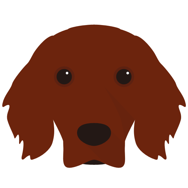 Irish Setter icon