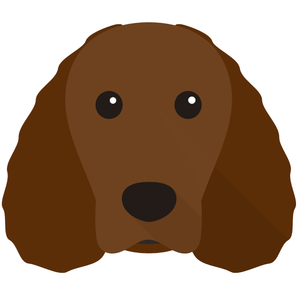 Irish Water Spaniel Icon