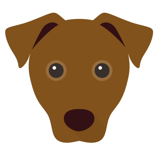 Nutmeg & Nutmeg icon