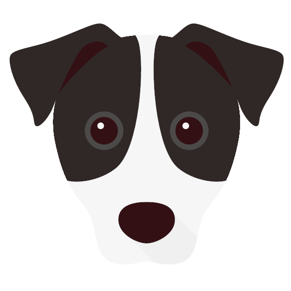 Rocco icon