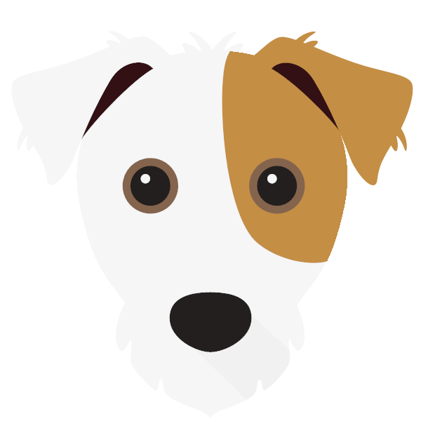 Create A Tailor Made Shop Just For Your Jack Russell Terrier