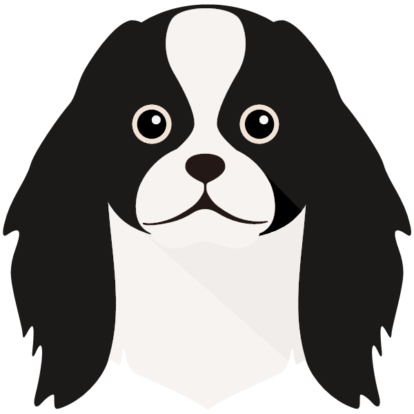 Japanese Chin Icon