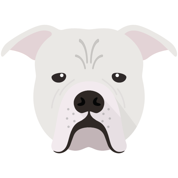 Johnson American Bulldog Icon