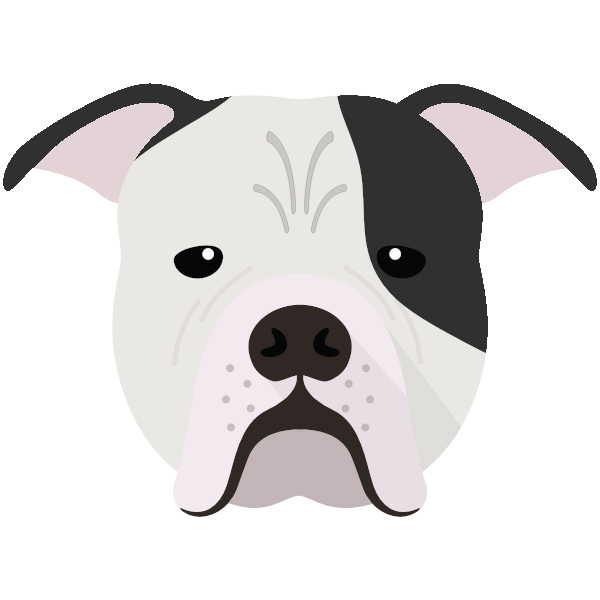 Create a tailor made shop just for your Johnson American Bulldog