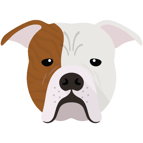 american bulldog cartoon