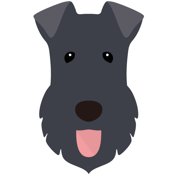 Icon for Kerry Blue Terrier