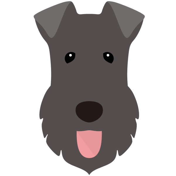 Ludo icon