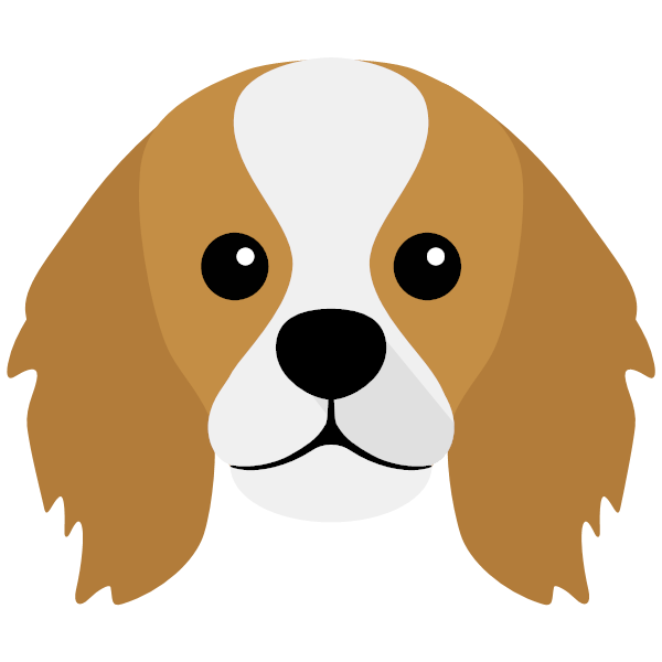 King Charles Spaniel icon