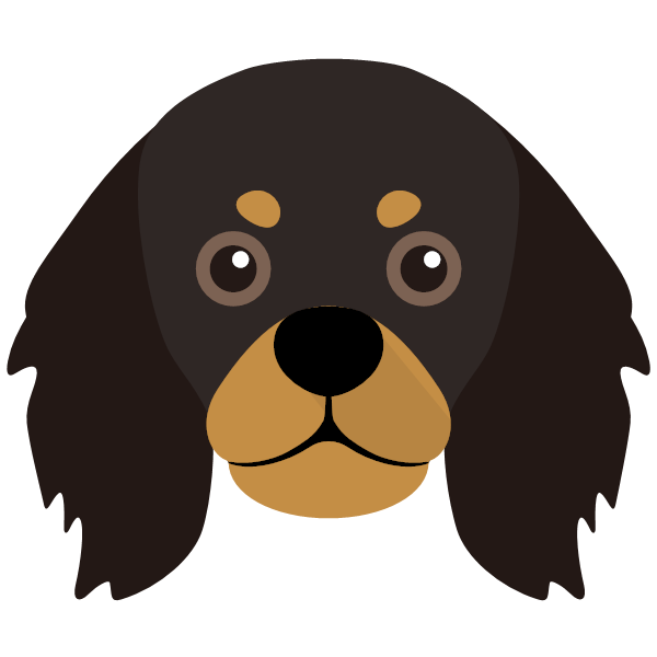 King Charles Spaniel Icon