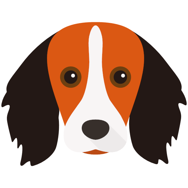 Kooikerhondje Icon