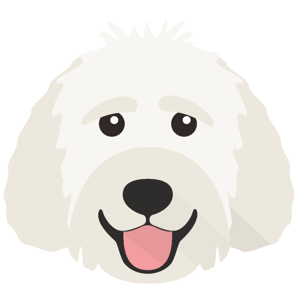 Icon for Labradoodle