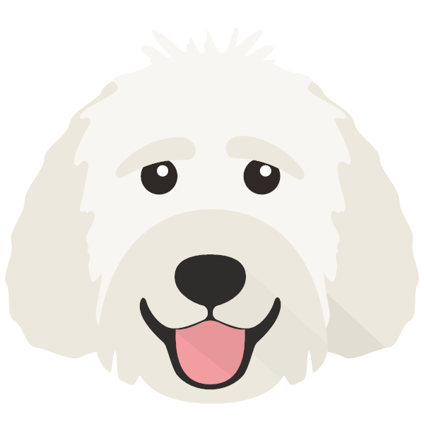 Labradoodle Icon