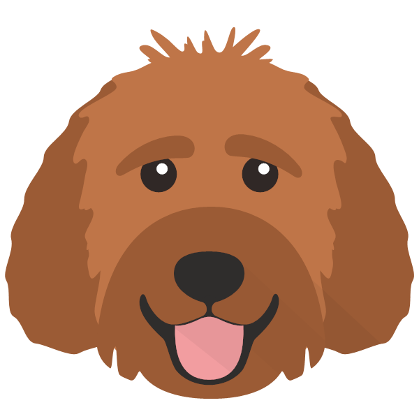 Rufus icon