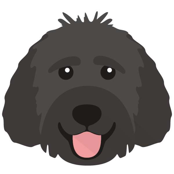 Milo icon