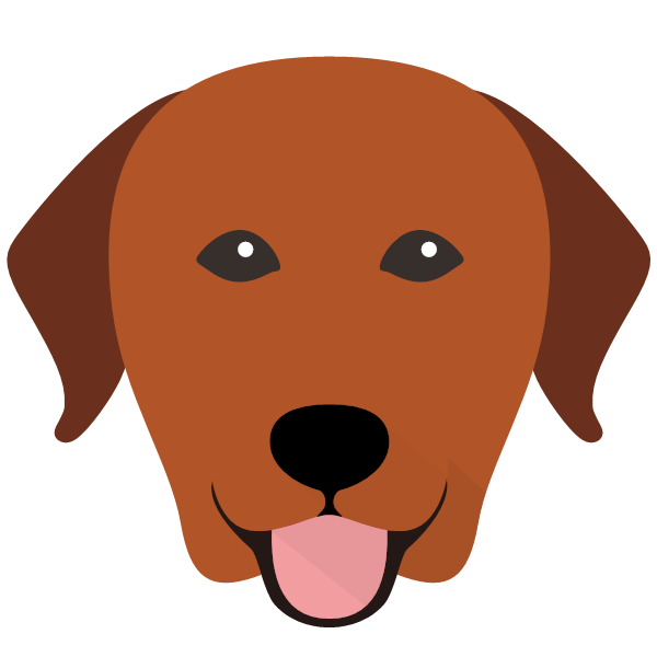 Scout icon