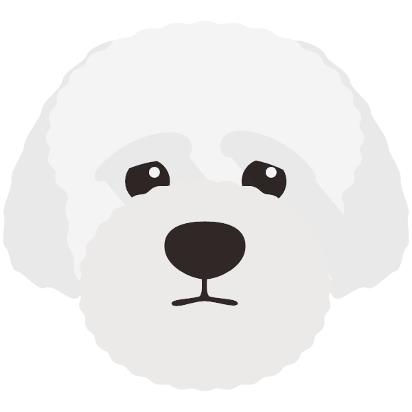 Lagotto Romagnolo Icon