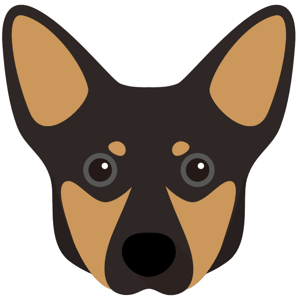 Lancashire Heeler Icon