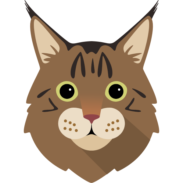 Maine Coon Icon