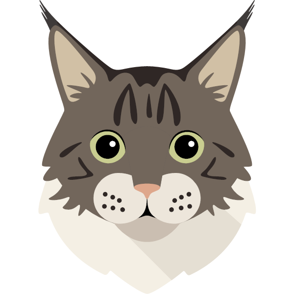 Mocha icon