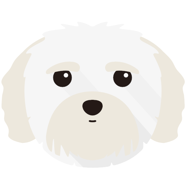 Buster icon